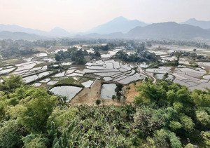 bán nhanh lô đất thổ cư tại xã tú lý, đà bắc, hoà bình.