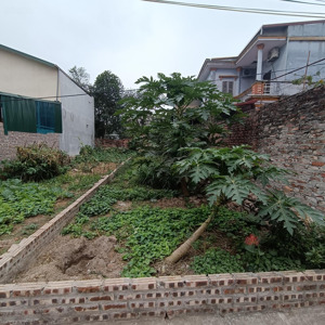 rẻ nhất khu vực, bán gấp 76m2 chỉ 900 triệu khu phố mãn xá tây, phường hà mãn, thuận thành.