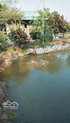 bán căn nhà vườn đầy đủ ao vườn như 1 trang trại nghỉ dưỡng mua hưởng thụ ngay