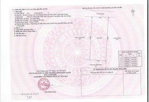 bán hai lô đất ở 500m2 tại ấp khu tượng, gần trường học búng gội. giá cực kỳ kẹt 1.72 tỷ hai lô