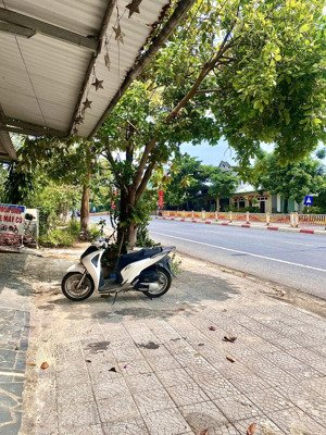 cho thuê nhà trung tâm thị trấn phú lộc, giá 2xxx