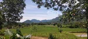 bán đất thổ cư tại xã tú lý, đà bắc, hòa bình