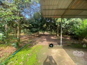 nhượng lại vườn cây ăn trái có suối nước nhỏ long khánh giá chỉ 750 triệu - ngân hàng hỗ trợ