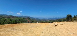 chính chủ bán lô đất view đẹp 16.000m2. đường ô tô, sẵn thổ cư. liên hệ: 0973852011 anh tiến