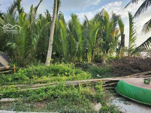 bán đất cẩm thanh diện tích 347.6m2 view sông, phù hợp làm homestay, nghỉ dưỡng