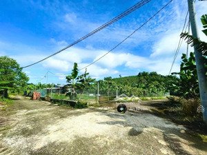đất vườn 2500m view đẹp gần kcn long khánh & sân bay long thành giá chỉ 750tr/sào