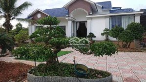 bán đất diện tích lớn + biệt thự đẹp + nhà yến tỉnh lộ 721, đạ huoai, lâm đồng 27 tỷ