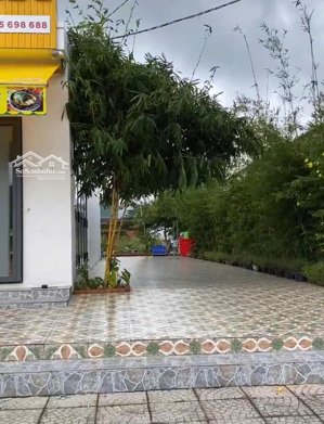 bán dn siêu hot 35 tỷ, 45.768m2 tại quốc lộ 91b, khánh an, an phú, an giang