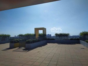tòa nhà charmington la pointe 181 cao thắng q10 cho thuê sàn penhouse riêng biệt dt 133m2