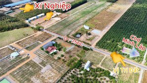 bán sỉ 7 sổ (35x50=1.750m2) sát becamex 4600ha lộ nhựa 30m ủy ban trường chợ sát bên 486tr dân đông