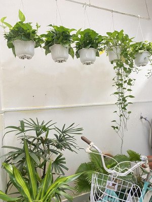 bán nhà sân vườn phố hàn quốc - đường huỳnh thúc kháng - nha trang - 26 tỷ-182m2