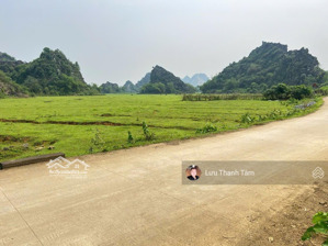 chính chủ cần bán 2175m2 có 200m2 thổ cư tại cao dương lương sơn hòa bình. giá 2,x triệu/m2