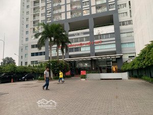 cho thuê cc mini 3pn, 2wc, 105m2 tại the morning star plaza, 16,5 triệu vnd