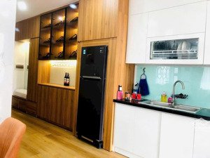 chính chủ cho thuê căn hộ ori full nội thất. 1pn và 2pn, 2wc, dt: 45-60m2, giá 3,5 - 6 triệu/tháng