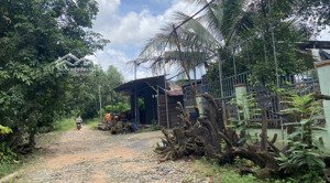 bán 4.2 sào đất vườn, xã đồi 61 gần mặt tiền đường nhự , giá cực ngộp