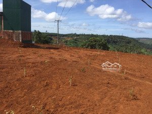 chính chủ cần bán 3.8ha đất tại phường nghĩa tân - gia nghĩa - đắk nông