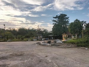 cho thuê lâu dài 6.000m đất giá 5k/m tại lương sơn, hòa bình