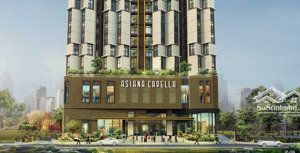 bán ch 1pn, 50m2, 2,6 tỷ tại asiana capella, q6, tp.hcm