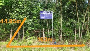 bán 7337m2 ( 100m2 thổ cư) đất trồng cây cao su tại ấp 7, minh thắng, chơn thành