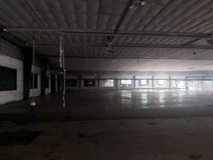 cho thuê nhà xưởng diện tích 4200 m . diện tích sử dụng 3000 m có pccc tự động