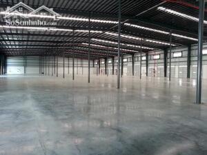 Cho thuê nhà xưởng mới xây dựng huyện Tân Phước, tỉnh Tiền Giang.