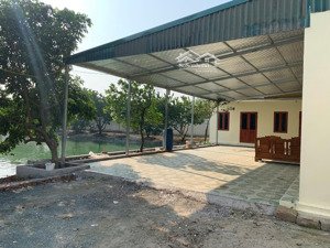 2800m2 trang trại chăn nuôi, nghỉ dưỡng tại đối diện dự án bộ công an, đường 421b quốc oai, hà nội