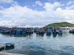 bán nhà riêng đẹp tại kdc hòn rớ 1, phước đồng, nha trang, 6,2 tỷ, 180m2