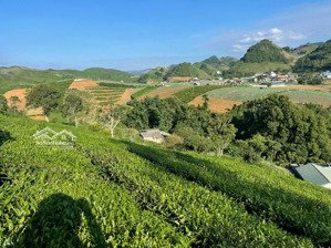 bán lô đất siêu đẹp - cơ hội đầu tư cực hot tại mộc châu