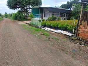 bán đất 1000m2, phủ hồng, phù hợp lên thổ, xã đông hoà, trảng bom