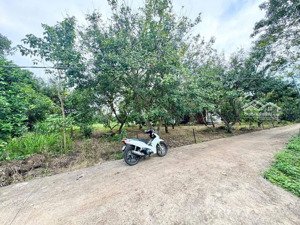 cần bán đất hẻm / bình lộc - ấp 3, giá 550tr với dt 100m2 full tc. lh 0384329615