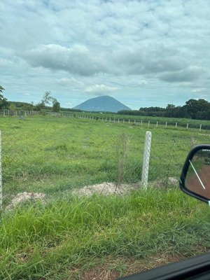 bán đất 90000m2, tại xã phước ninh, đường minh châu, tây ninh