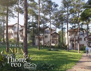 cdt bim mở bán dự án biệt thự nghỉ dưỡng thung lũng thanh xuân valley vĩnh yên - vĩnh phúc.