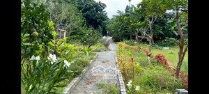 bán 1859m2 nghỉ dưỡng tay chạm nước tại hồ cửa khâu đông xuân, quốc oai, giá 25 tỷ