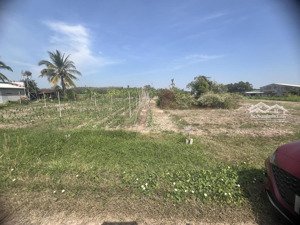 bán trang trại ở đường 781, xã hảo đước, châu thành, tây ninh, 688 triệu, 172m2
