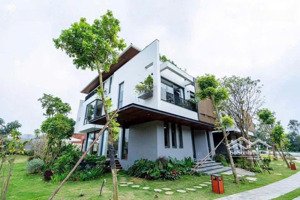 quay lưng với giá chung cư lên đến 90tr/m2 tại hn - người dân mua biệt thự nhà vườn hn chỉ 60tr/m2