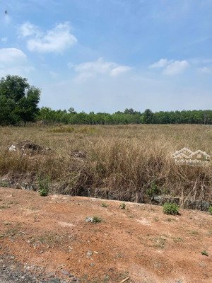 bán gấp đất nền mỹ phước, bến cát, 900 triệu, 500m2 đầu tư xây trọ và kho