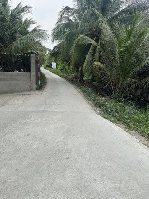 bán lô đất 3000 mét vuông xã bình chánh huyện bình chánh vị trí đất đường xe tải quy hoạch hiện hữu