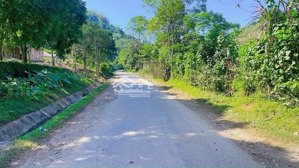 lô đất siêu nghỉ dưỡng hoặc làm camping trại hè. kho xưởng . đều hợp lý dt 1,9ha . có 800m2 đất ở.