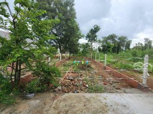 bán đất sổ riêng full hồng 120m2 tại xã đông hòa
