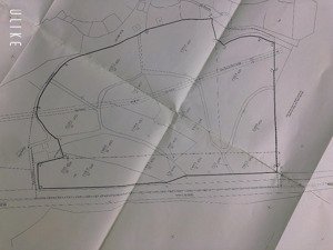 bán dự án tại đường 2, phường an tường, tuyên quang, 7 tỷ, 60000 m2, giá siêu hời, mặt đường lớn