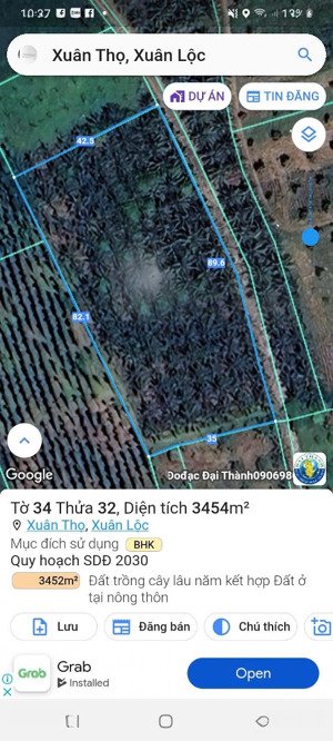 vườn dừa, vườn dâu đang cho thu hoạch, view núi chứa chan