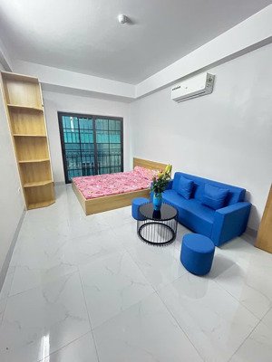 cho thuê cc mini 25m2 tại phú mỹ, mỹ đình 2, nam từ liêm, hà nội chỉ với 5,2 triệu