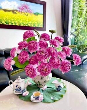 LH: 0936298578 : Cho thuê Sông công 1000m ..2000 m..5000 ..2ha theo nhu cầu
