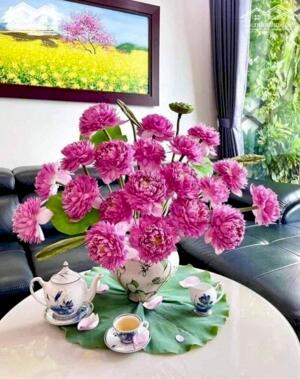 LH : 0936298578 : Thái Nguyên Cho thuê 2000..3000..5000 ..2ha