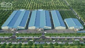 Cho thuê 23.000m2 đất có 10.000m2 kho nhà xưởng tại Đà Nẵng.