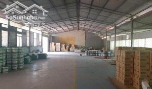 CHO THUÊ KHO NHÀ XƯỞNG 700M2 - 1000M2 NGŨ HÀNH SƠN - ĐÀ NẴNG