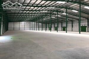 Xưởng cho thuê tại Thị Trấn Mỹ Phước, Tân Phước, Tiền Giang.