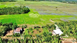 sẵn 60m2 thổ cư cách bmt 20km eaktur, cưkuin, đakak 159 triệu