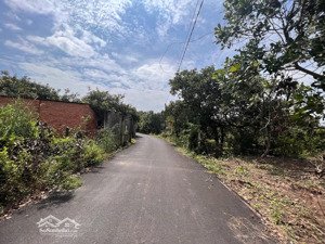bán đất hòa hội xuyên mộc vị trí gần ủy ban, đường lớn, 2 ô tô tránh nhau
