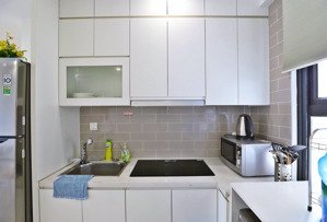 cho thuê lâu dài từ 2 đến 3 phòng ngủ tại samsora chu văn an vào luôn. lh: 0936055389